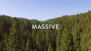 Something Massive