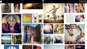 Social Board