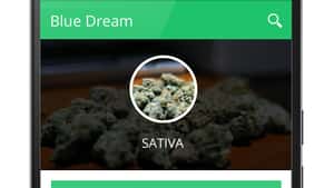 Where's Weed