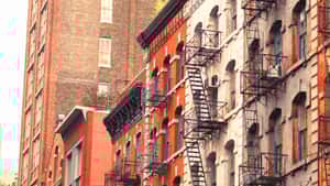 Tribeca Venture Partners