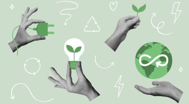 Image of hand holding seed with green background.