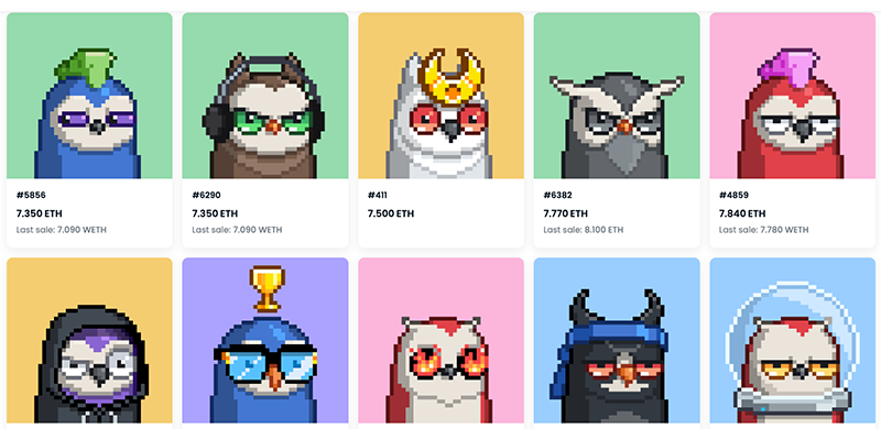 FunkyBirds #1 Collection Of FunkyBirds Pixel Art - Mint Space NFT  Marketplace - Buy, Sell and Create NFTs Art Tokens without Fees