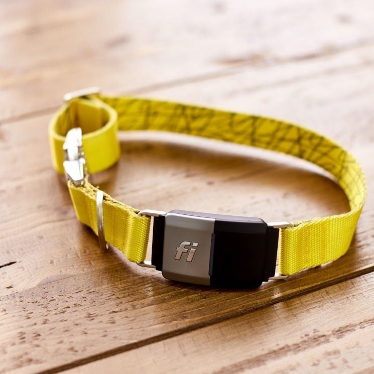 How the Fi Dog Collar is Designed With Months of Battery Life Built In